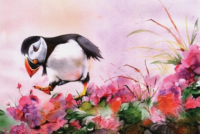 Down There For Dancing by Peter Williams canvas print