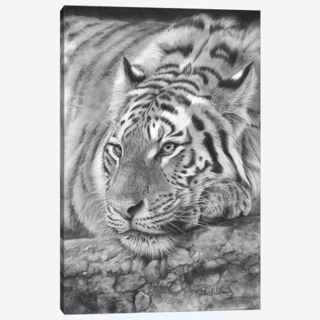 Easy Tiger Canvas Print #PWI145} by Peter Williams Canvas Wall Art