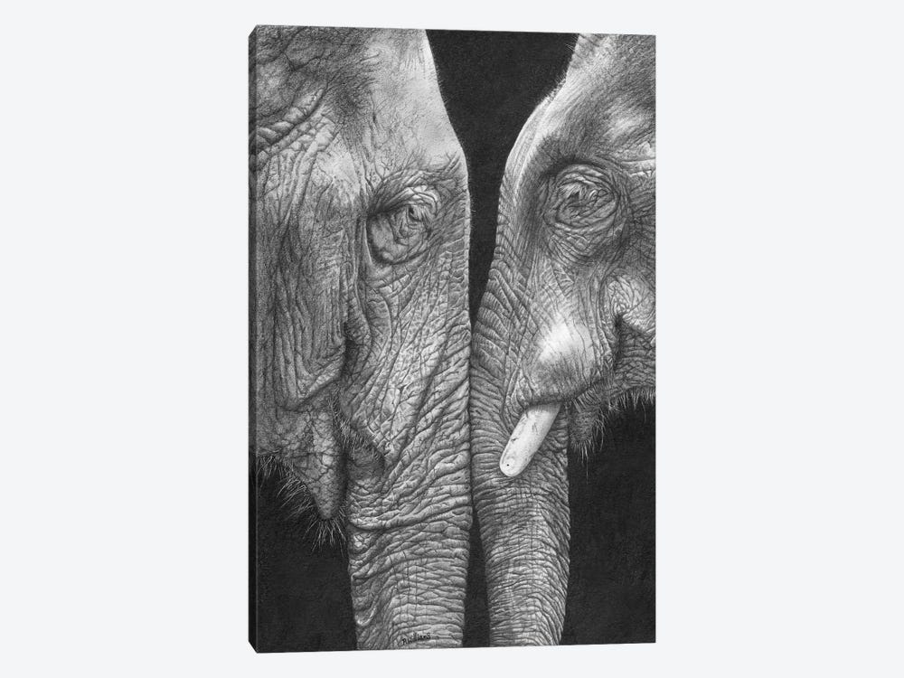 Eye To Eye by Peter Williams 1-piece Canvas Wall Art