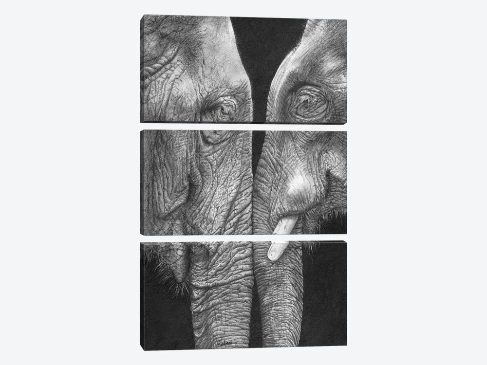 Eye To Eye by Peter Williams 3-piece Canvas Art