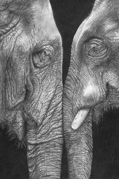 Peter Williams: Eye To Eye by Peter Williams