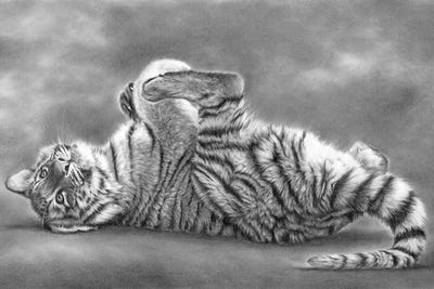 Forever Young by Peter Williams canvas print