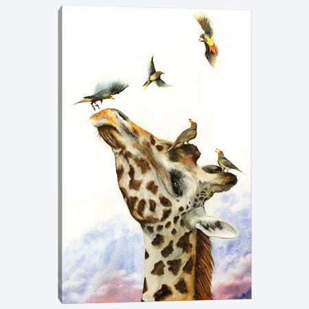 Head In The Clouds Canvas Print #PWI152} by Peter Williams Canvas Art