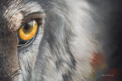 Hello Darkness My Old Friend by Peter Williams canvas print