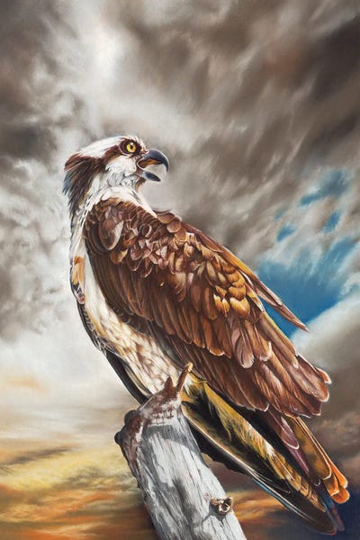 Higher And Mightier by Peter Williams canvas print