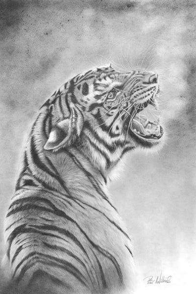 Look Back In Anger by Peter Williams canvas print