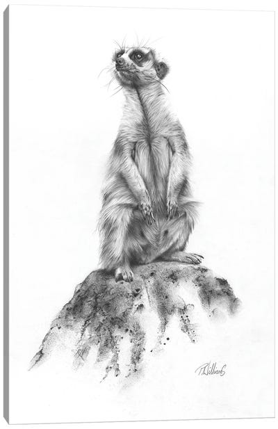 Meerkat Sentinel Canvas Art Print - Peter Williams