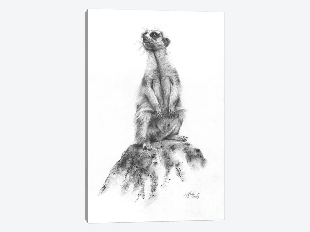Meerkat Sentinel by Peter Williams 1-piece Canvas Art Print