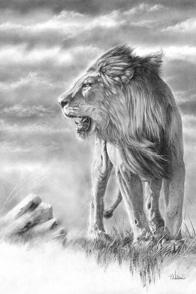 Lions: New Horizon by Peter Williams