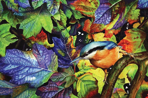 Intricate Watercolors: Autumn Blues by Peter Williams