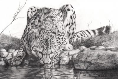 Oasis II by Peter Williams art print