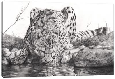 Oasis II Canvas Art Print - Leopard Art