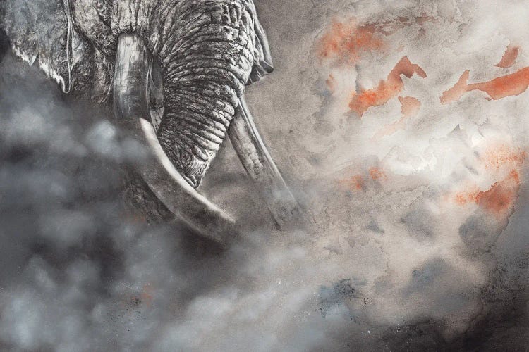 Raging Bull by Peter Williams wall art