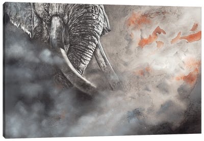Raging Bull Canvas Art Print - Peter Williams