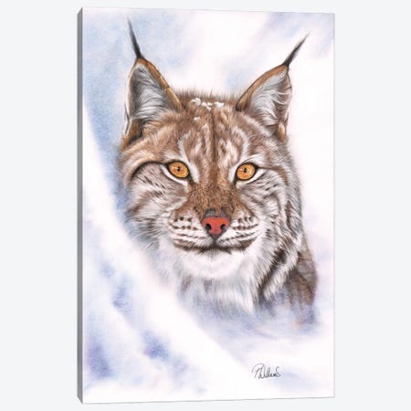 Snowcat Canvas Print #PWI165} by Peter Williams Canvas Art