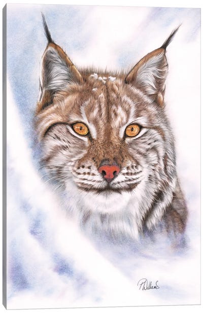 Snowcat Canvas Art Print - Lynx