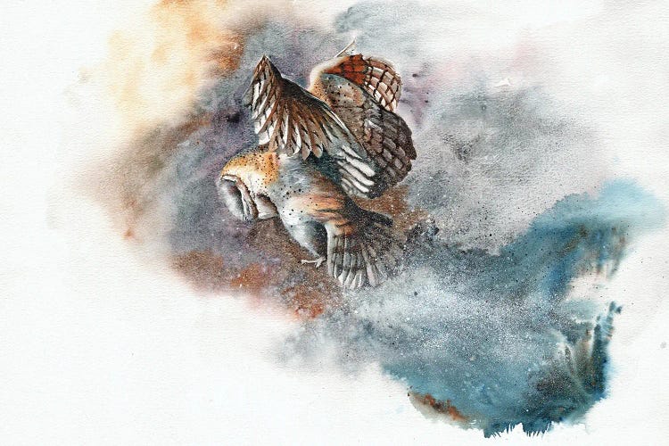 Snow Patrol by Peter Williams wall art