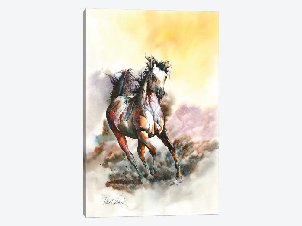 Spirit In The Sky by Peter Williams 1-piece Canvas Wall Art