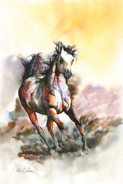 Peter Williams: Spirit In The Sky by Peter Williams