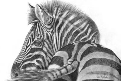 A Watchful Eye by Peter Williams art print