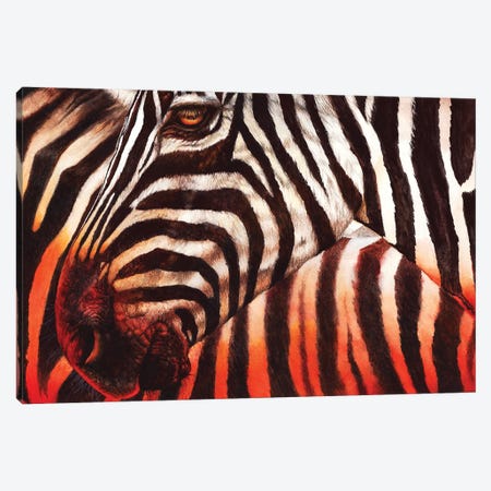 Zebra Sunset Canvas Print #PWI175} by Peter Williams Art Print