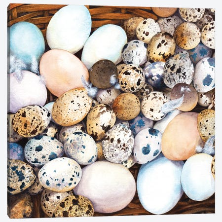 All My Eggs In One Basket Canvas Print #PWI177} by Peter Williams Art Print