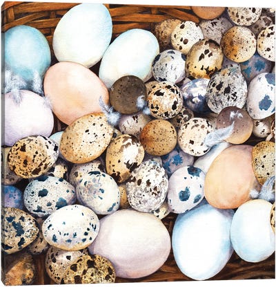 All My Eggs In One Basket Canvas Art Print - Egg Art