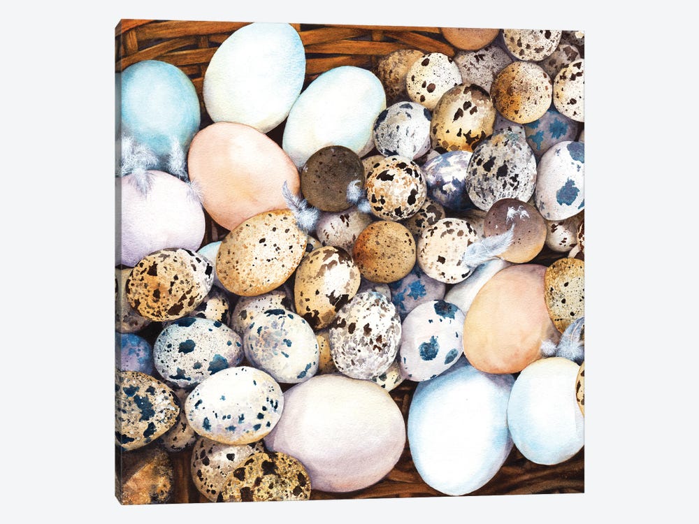 All My Eggs In One Basket by Peter Williams 1-piece Canvas Art