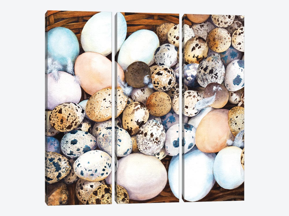 All My Eggs In One Basket by Peter Williams 3-piece Canvas Art