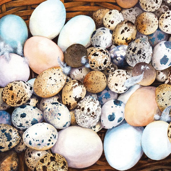 Peter Williams: All My Eggs In One Basket by Peter Williams