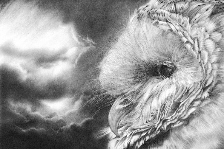 Keeper Of Secrrets by Peter Williams wall art