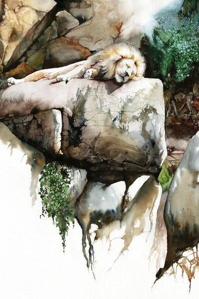 Peter Williams: Power Nap by Peter Williams