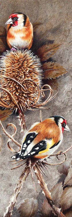 Sunny Side Up by Peter Williams wall art