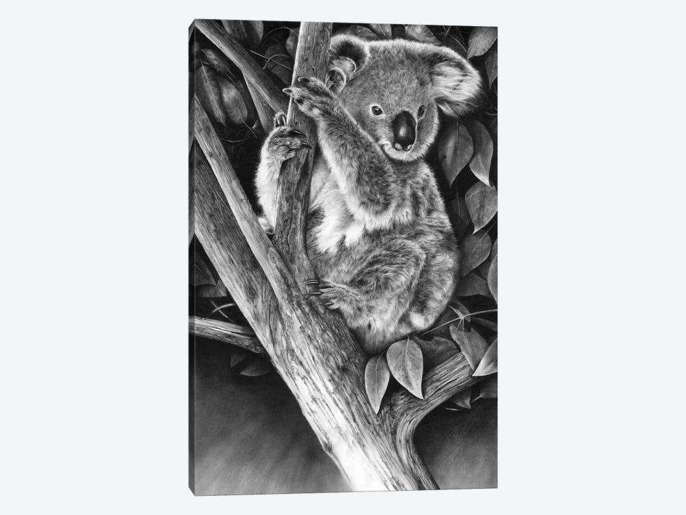 Up A Gum Tree by Peter Williams 1-piece Canvas Art Print