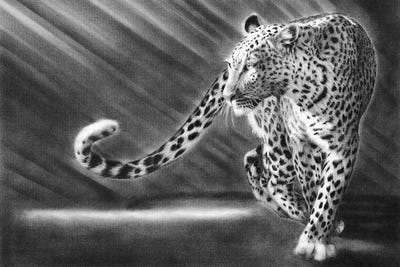 Walk The Walk Leopard by Peter Williams art print