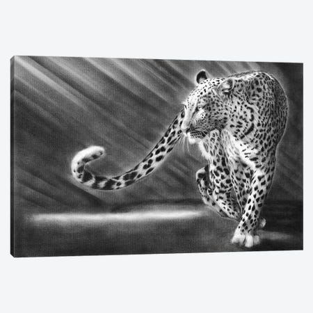 Walk The Walk Leopard Canvas Print #PWI197} by Peter Williams Art Print