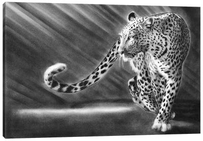 Walk The Walk Leopard Canvas Art Print - Gray Art
