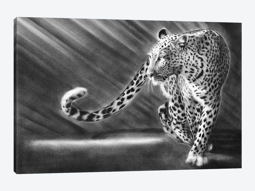 Walk The Walk Leopard by Peter Williams 1-piece Canvas Artwork