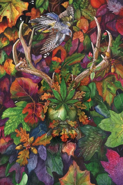 The Green Man II by Peter Williams canvas print