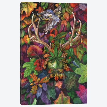 The Green Man II Canvas Print #PWI198} by Peter Williams Canvas Artwork