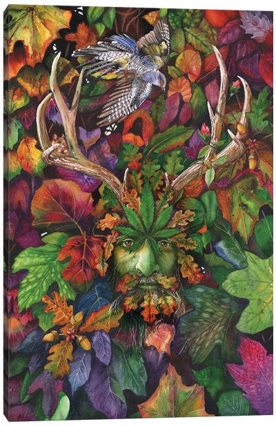 The Green Man II Canvas Art Print - Peter Williams