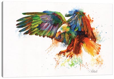 Rainbow Warrior Canvas Art Print - Peter Williams
