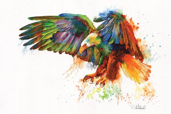 Peter Williams: Rainbow Warrior by Peter Williams