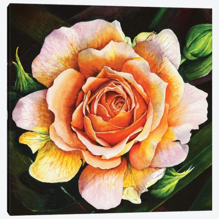 Blooming Marvellous Canvas Print #PWI19} by Peter Williams Art Print