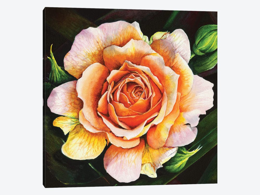Blooming Marvellous by Peter Williams 1-piece Canvas Art