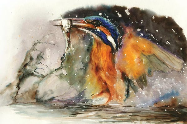 Peter Williams: A Flash Of Brilliance by Peter Williams