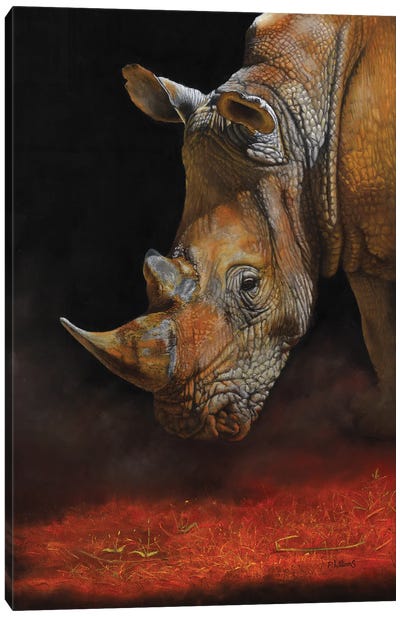 Supernova White Rhino Painting Canvas Art Print - Rhinoceros Art