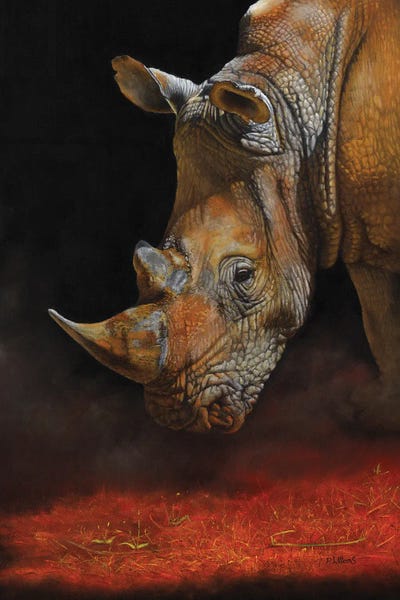 Rhinoceroses: Supernova White Rhino Painting by Peter Williams