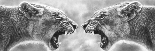 Peter Williams: Internal Conflict by Peter Williams