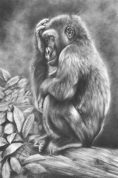 Gorillas: I Thought It Was Friday by Peter Williams